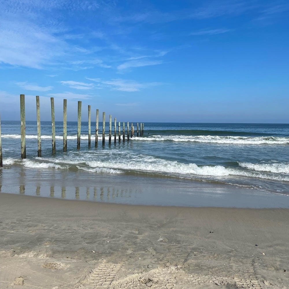 Meet your Posher, Simone! Happy shopping!